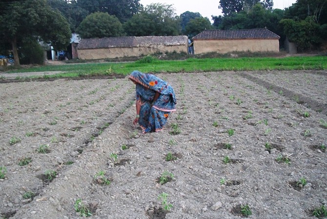 Agro-Based Livelihood