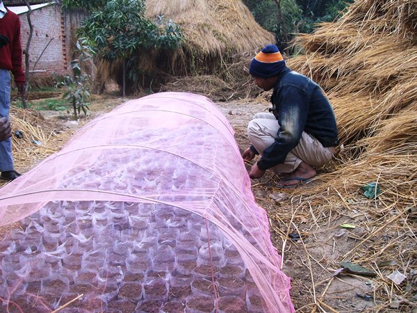 Agro-Based Livelihood