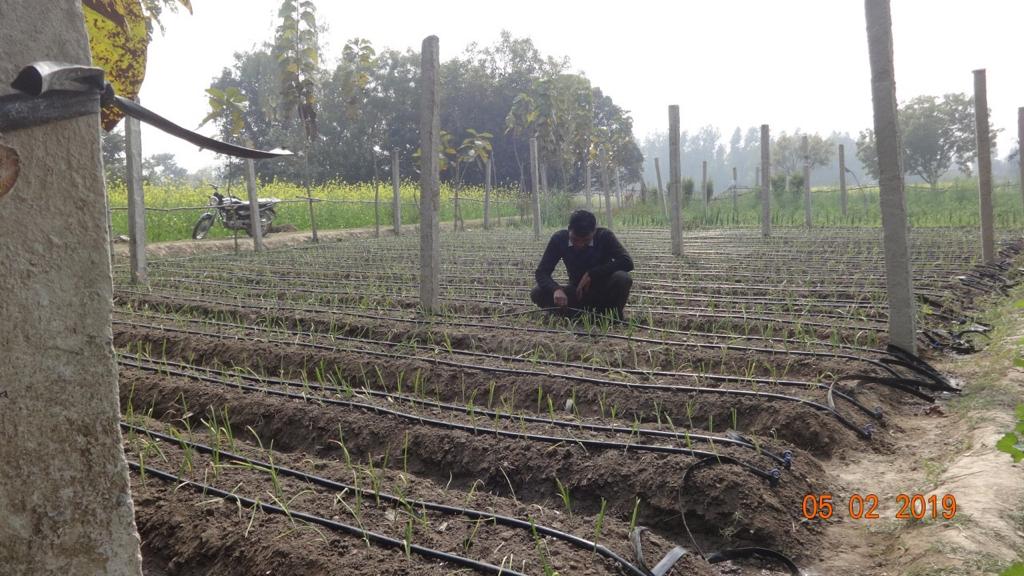Agro-Based Livelihood